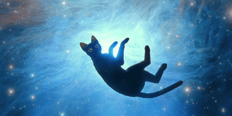 【影評】奧斯卡大熱門《喵的奇幻漂流》:生命洪流中的一葉孤舟,跟隨黑貓漂流命運的浪潮