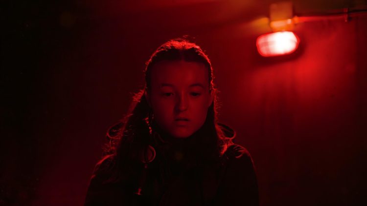 《最後生還者》第二季(來源/IMDb)